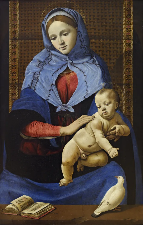 Madonna and Child with a Dove - Piero di Cosimo - Louvre INV 817